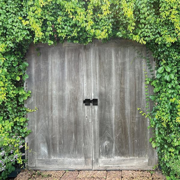 Nuvo Iron 9-in L Black Ultra Strength Gate Flip Latch