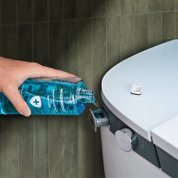 Woodbridge White Dual-Flush Elongated 1-Piece 12-in Rough-In Size Compact Smart Bidet Toilet