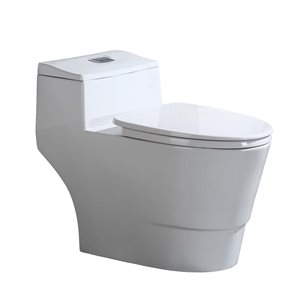 Woodbridge White Dual-Flush Elongated 1-Piece 12-in Rough-In Size 1.28 GPF Toilet