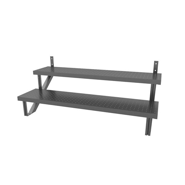 Pylex 2-Step 48-in Steel Staircase Kit - Black