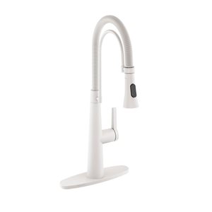 Clihome 1.8 GPM 1-Handle Pull-Out Kitchen Faucet - Matte White