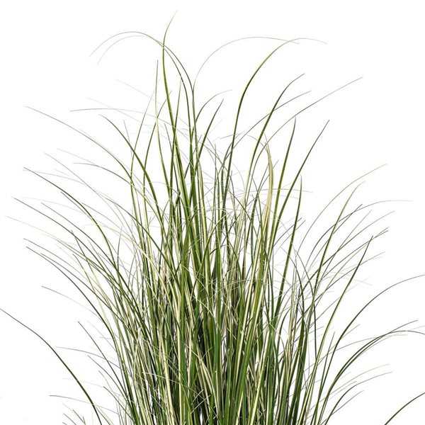Vickerman 72-in Artificial Potted Native Green Grass