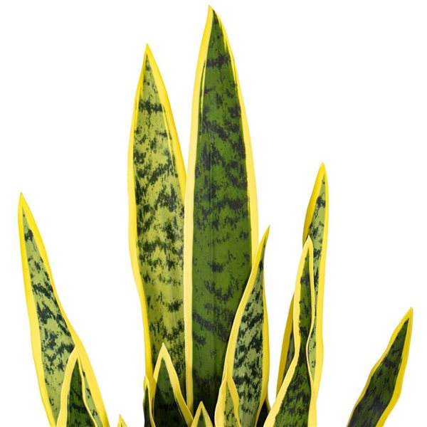 Vickerman 28-in Artificial Green Snake Plant in Cement Pot