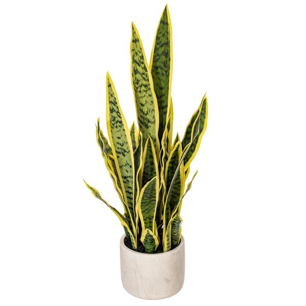 Vickerman 28-in Artificial Green Snake Plant in Cement Pot