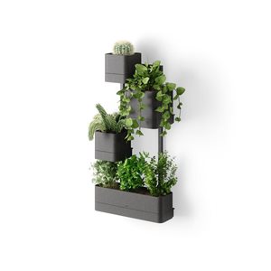 Umbra Cubiko Indoor/Outdoor Plastic Rectangle Wall Planter
