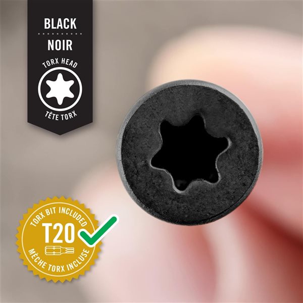 Nuvo Iron No. 8 Black 2 1/2-in L Ceramic Torx Head Deck Screws w/ T25 Drill Bit (4-Pack of 250 pcs)