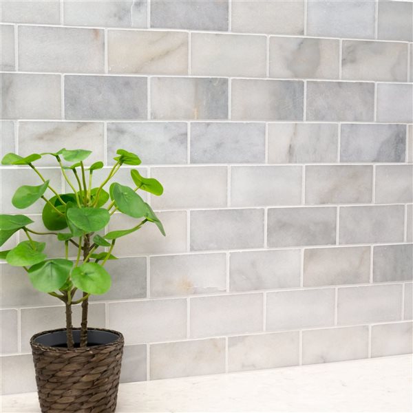 Ackland Cretalla 8-Pack 3 x 6-in White Polished Marble Floor and Wall Tile