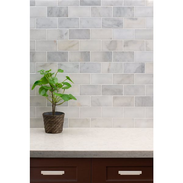 Ackland Cretalla 8-Pack 3 x 6-in White Polished Marble Floor and Wall Tile