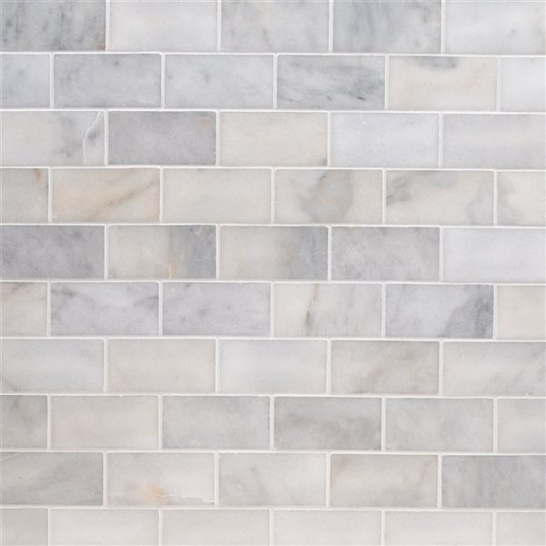 Ackland Cretalla 8-Pack 3 x 6-in White Polished Marble Floor and Wall Tile