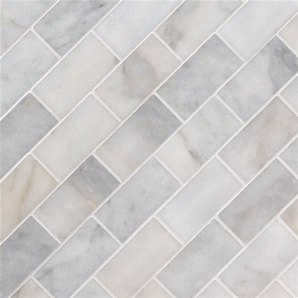 Ackland Cretalla 8-Pack 3 x 6-in White Polished Marble Floor and Wall Tile