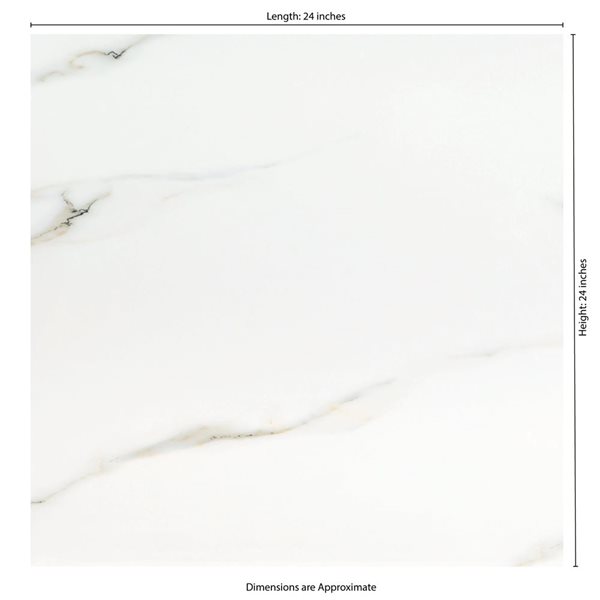Ackland Sarola 4-Pack 24 x 24-in Sivetta White Polished Porcelain Stone Floor and Wall Tile