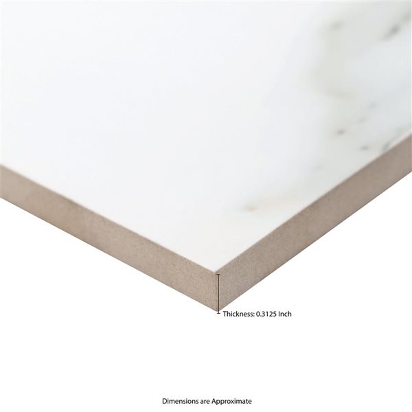 Ackland Sarola 4-Pack 24 x 24-in Sivetta White Polished Porcelain Stone Floor and Wall Tile