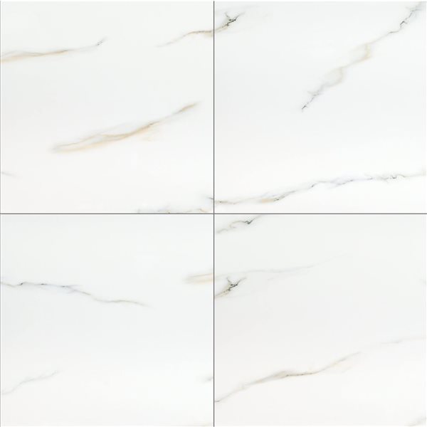 Ackland Sarola 4-Pack 24 x 24-in Sivetta White Polished Porcelain Stone Floor and Wall Tile