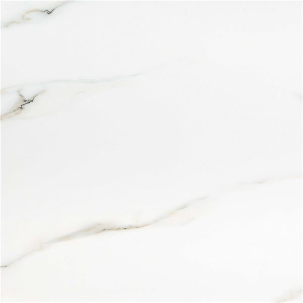 Ackland Sarola 4-Pack 24 x 24-in Sivetta White Polished Porcelain Stone Floor and Wall Tile