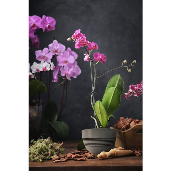 Naturae Decor Small Plastic Planter 11 x 8-in - Brown Stone Finish - 2/Pk