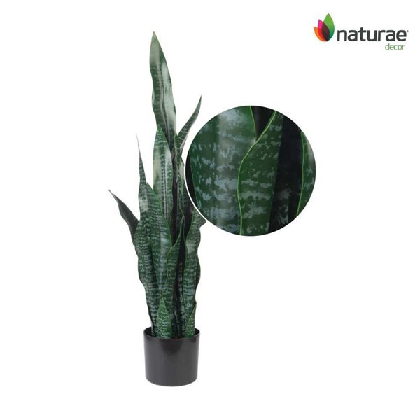 Naturae Decor 35-in H Artificial Indoor/Outdoor Coral Sansevieria