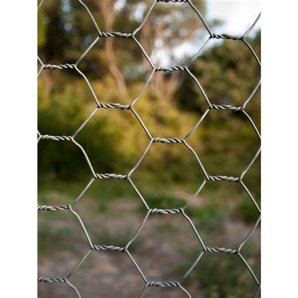 ProYard Galvanized 22-Gauge Chicken Wire 1-in x 48-in x 100-ft