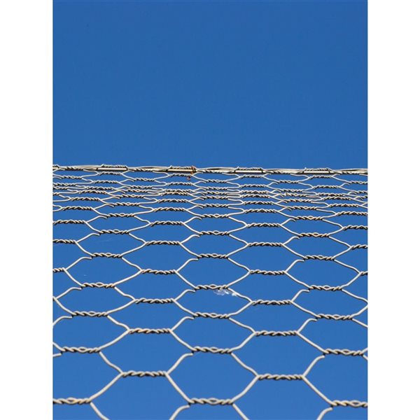 ProYard Galvanized 22-Gauge Chicken Wire 1-in x 48-in x 100-ft