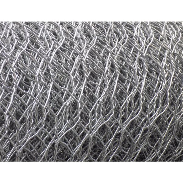 ProYard Galvanized 22-Gauge Chicken Wire 2-in x 48-in x 100-ft