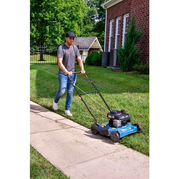 SENIX E450 20-in 125 cc Gas Push Mower w/ Adjusters