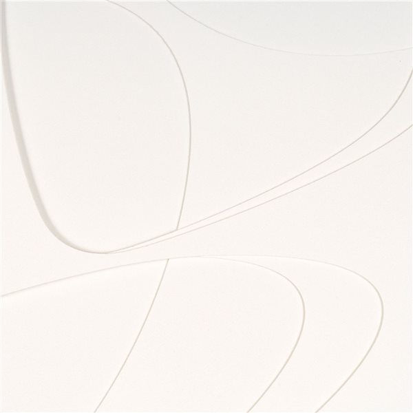 Gild Design House Divine II 40 x 40-in White Abstract Overlapping Shapes Shadow Box