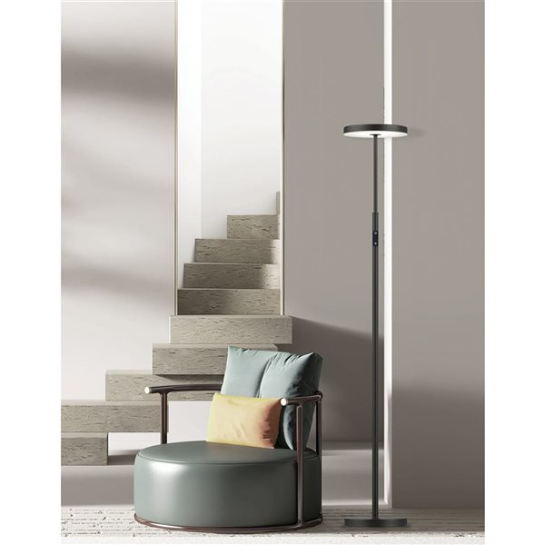 Dainolite Francine 30W 54-in Sandy Black Metal Floor Task Lamp with White Acrylic Diffuser