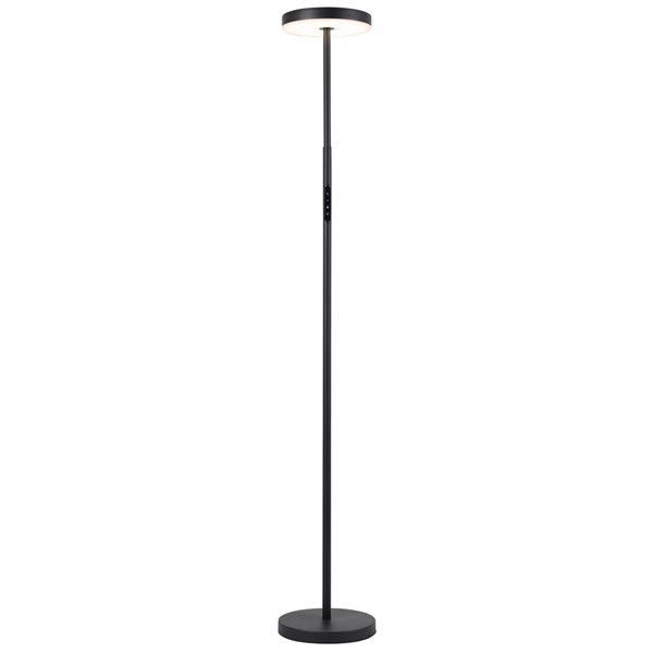 Dainolite Francine 30W 54-in Sandy Black Metal Floor Task Lamp with White Acrylic Diffuser