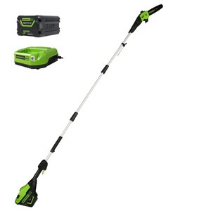 Scie à perche sans fil Greenworks 60 V 2e génération, 10 po, avec batterie et chargeur inclus