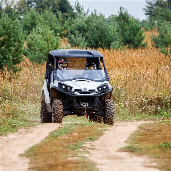 Polymershapes 24 W x 48 L x 0.118-in T Clear General Purpose Polycarbonate Sheet