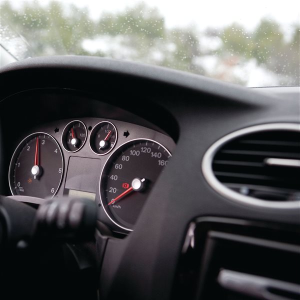 Polymershapes 24 W x 48 L x 0.236-in T Black ABS Sheet