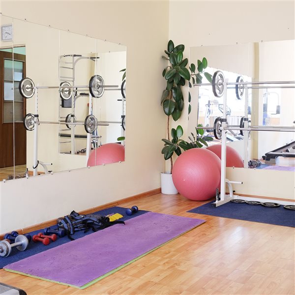 FABBACK 5-Pack 24 W x 48 L x 0.118-in T Chrome Mirror Acrylic Sheets