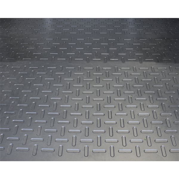 Canopia by Palram SkyLight 4 x 6-ft Beige Polycarbonate Garden Outdoor Storage Shed