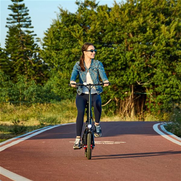 GoPowerBike GoBlitz Electric Folding Bike for Adults - Black