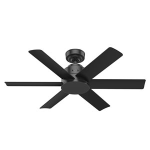 Ventilateur de plafond Kennicott par Hunter de 44 po en noir mat