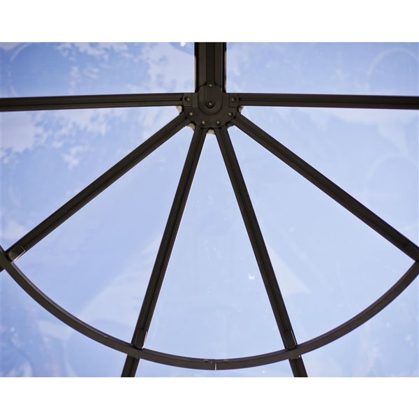 Canopia by Palram Lily Door Awning 4 x 6-ft