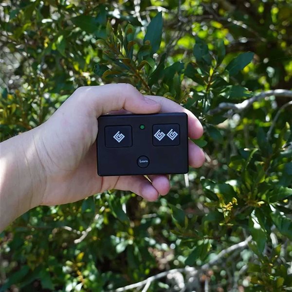 Ghost Controls Three-Button Remote Transmitter