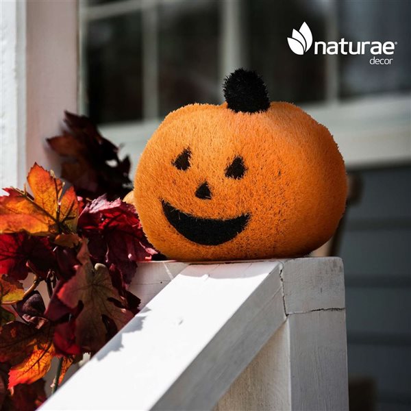 Naturae Decor 13-in Topiary Pumpkin