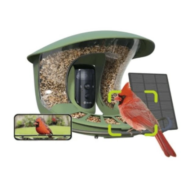 Birdfy 2 Green ABS Plastic Solar-Powered Smart Bird Feeder with Camera