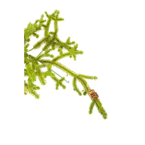 Starlight Collection 72-in Indoor Hangable Green Norway Spruce Garland - Single Piece