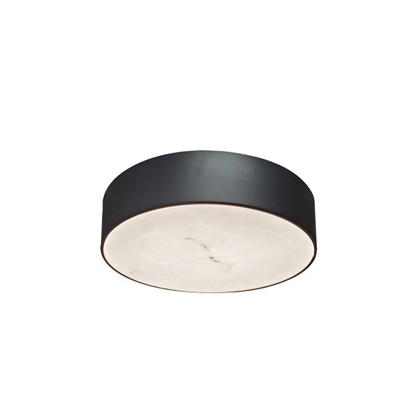 Dainolite Walsh LED Flush Mount 12-in Ceiling Light - Matte Black