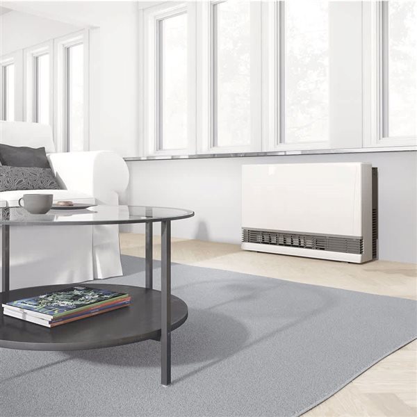 Rinnai EX38DTWP 38K BTU Direct-Vent Propane Wall Furnace - White