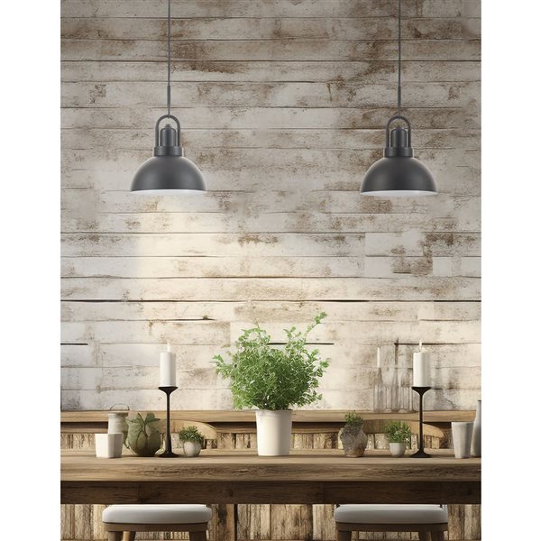 Dainolite Reveka 10-in dia Matte Black Metal Transitional Dome-Shaped Pendant Light