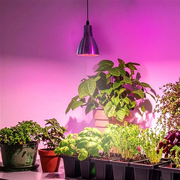Briignite 2-Pack BR30 LED Grow Light Bulbs - Full Spectrum 12W For Indoor Plants
