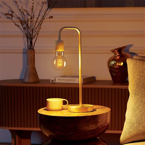 Globe Electric 60W Equivalent 2000 K Sunset Glow A19 Dimmable Amber Vintage Edison LED Light Bulbs - 2-Pk