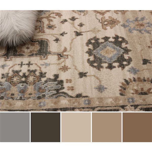 ECARPET Gloria 5 x 8-ft Ivory/Beige/Brown Polypropylene Traditional Medallion Pattern Area Rug