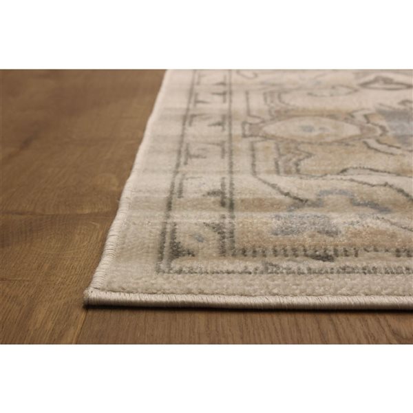 ECARPET Addie 8 x 10-ft Beige Polypropylene Traditional Indoor Geometric/Medallion Pattern Area Rug