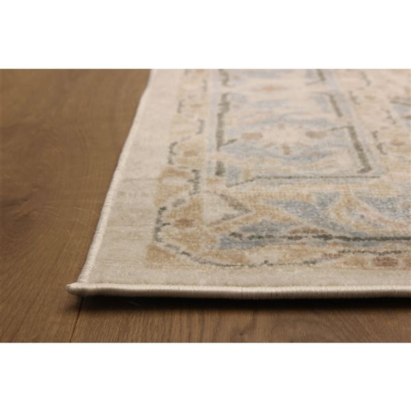 ECARPET Katie 5 x 8-ft Ivory/Beige/Grey Traditional Indoor Medallion Pattern Area Rug