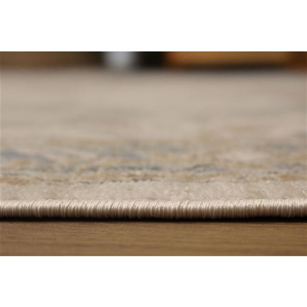 ECARPET Katie 5 x 8-ft Ivory/Beige/Grey Traditional Indoor Medallion Pattern Area Rug