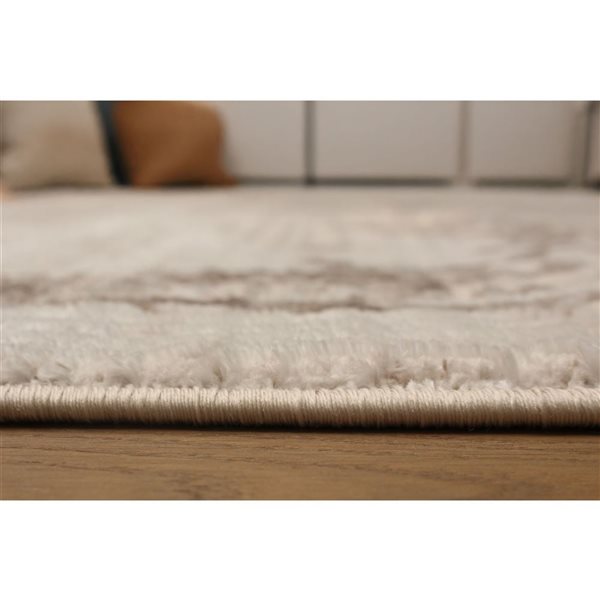 ECARPET Jane 5 x 8-ft Ivory/Beige Polyester Contemporary/Modern Indoor Abstract Pattern Area Rug