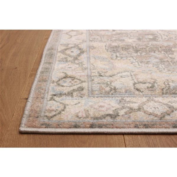 ECARPET Ashby 2.8 x 8.2-ft Tan Polypropylene Traditional Indoor Floral/Medallion Pattern Runner Rug